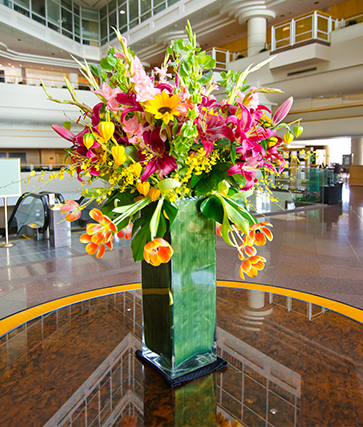 Soluzioni per hall e reception hotel pulito H&B Care